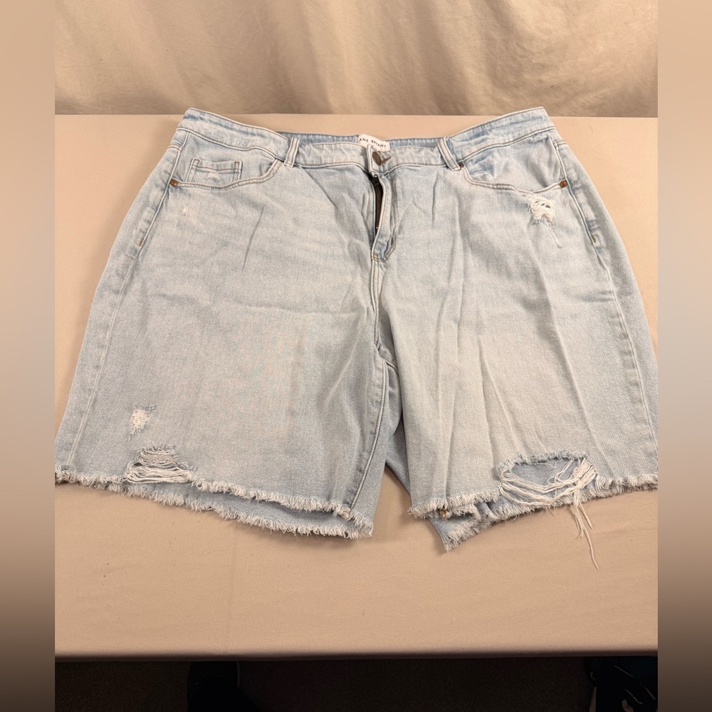 Lane Bryant Light Blue Jean Shorts - 027
